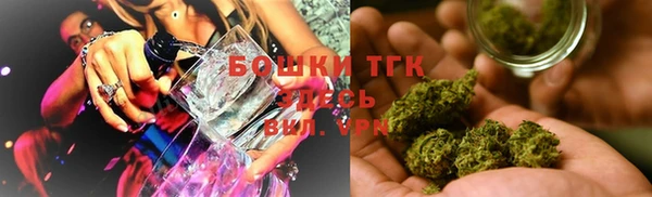 индика Магадан