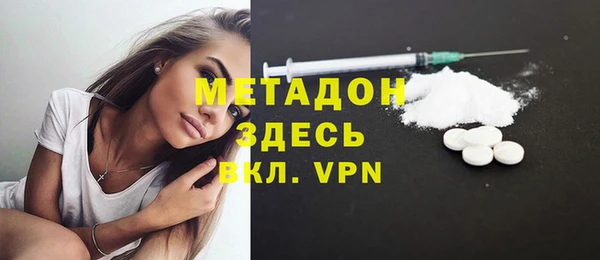 индика Ладушкин