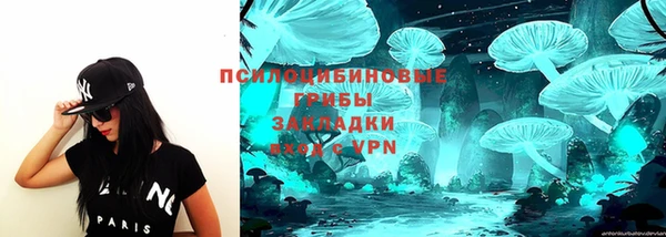 стафф Магас